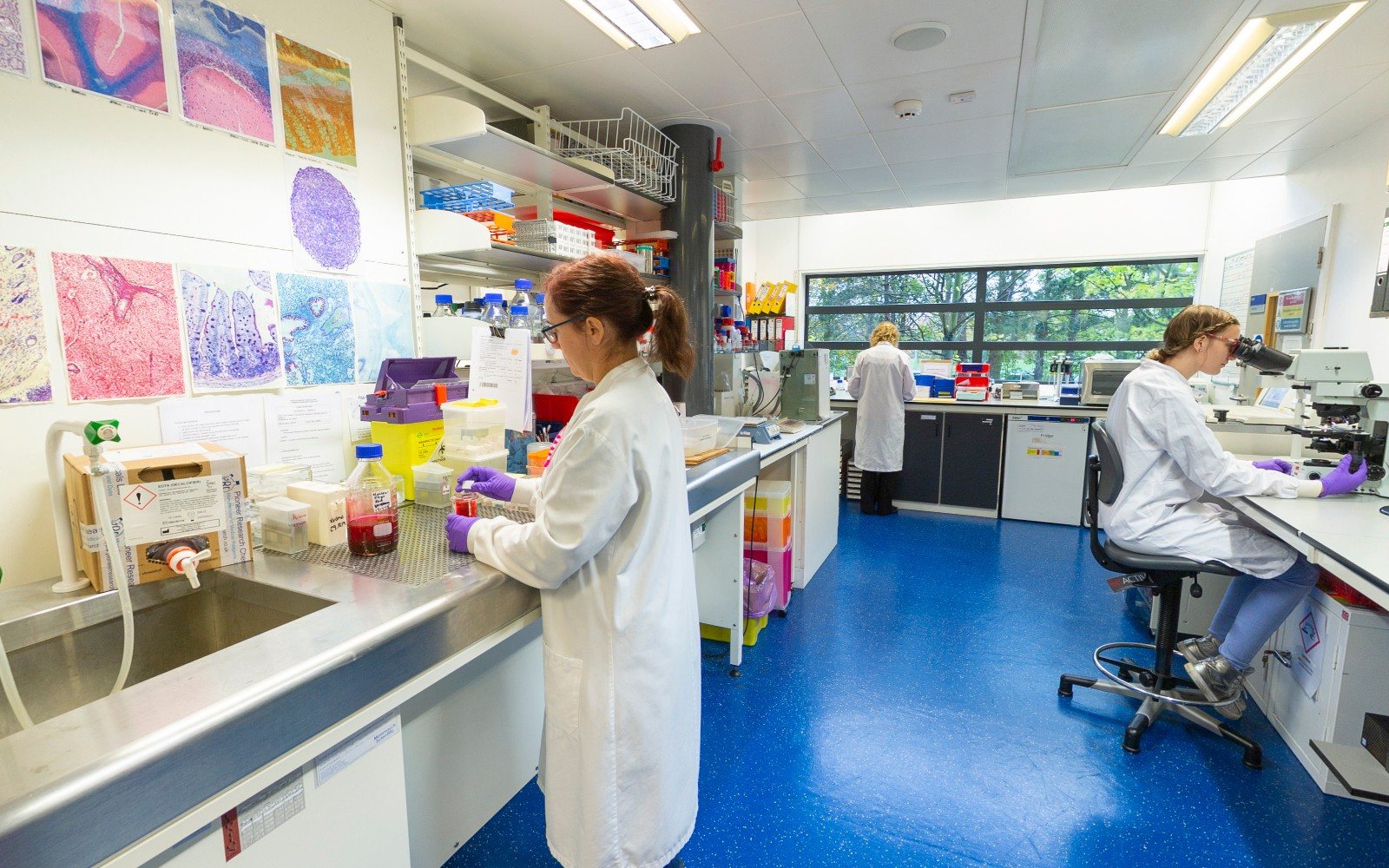 Cancer Research UK Cambridge Institute Virtual Tour