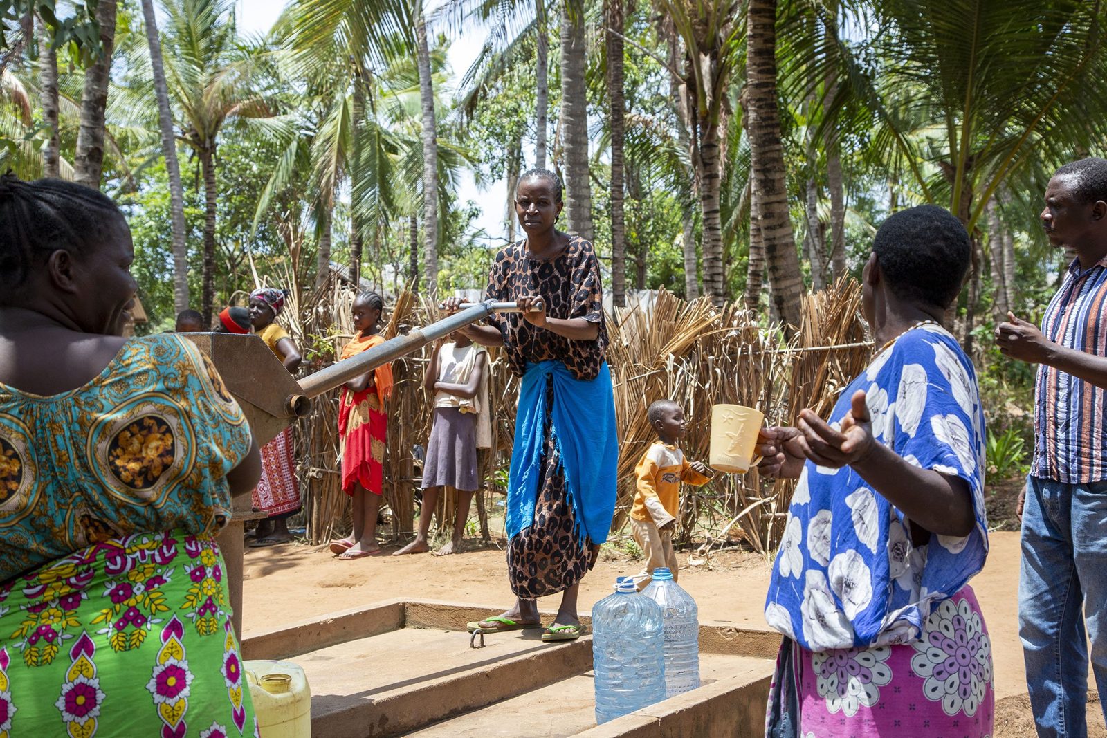 Climate Impact Partners: photo 2