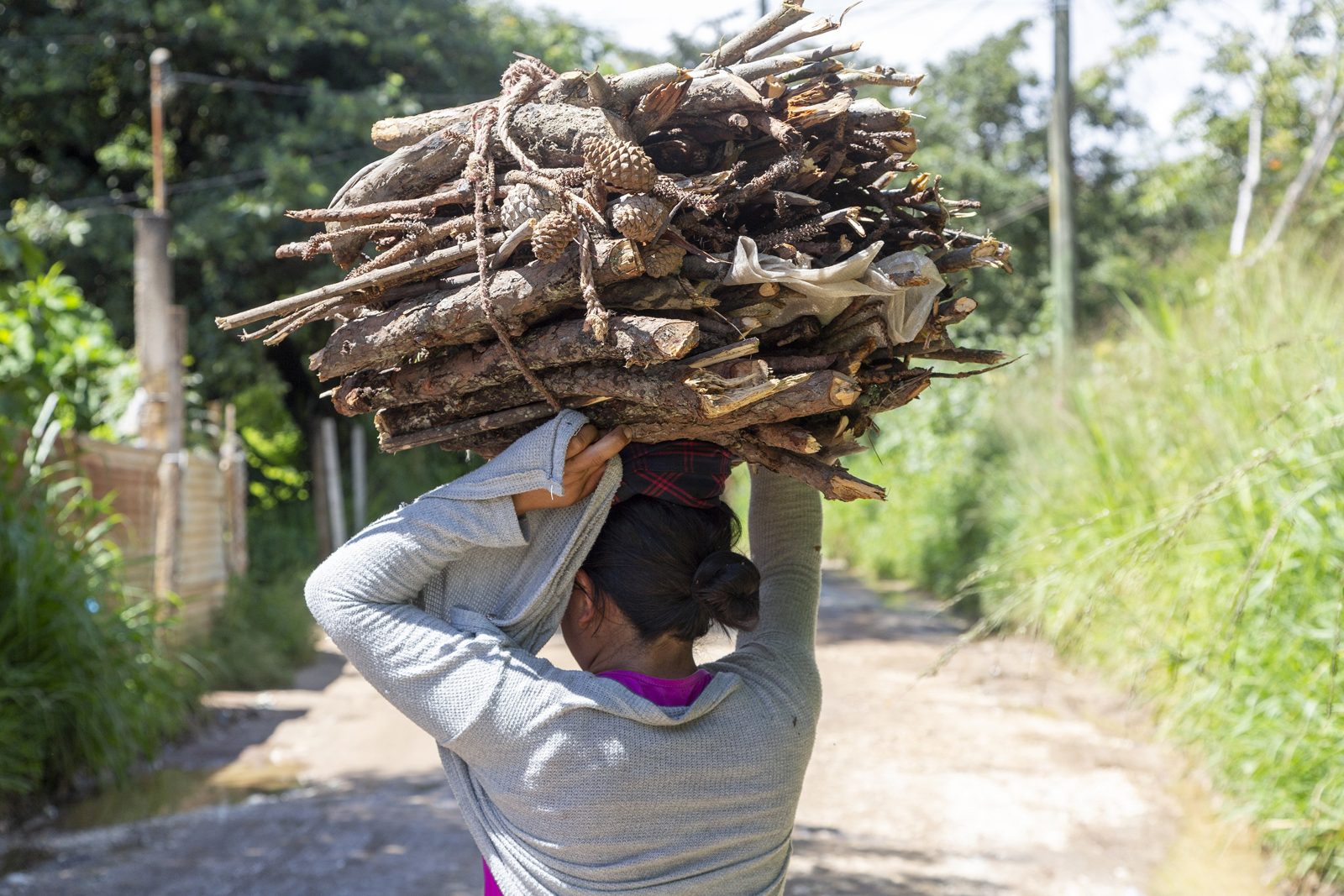 Climate Impact Partners: photo 4