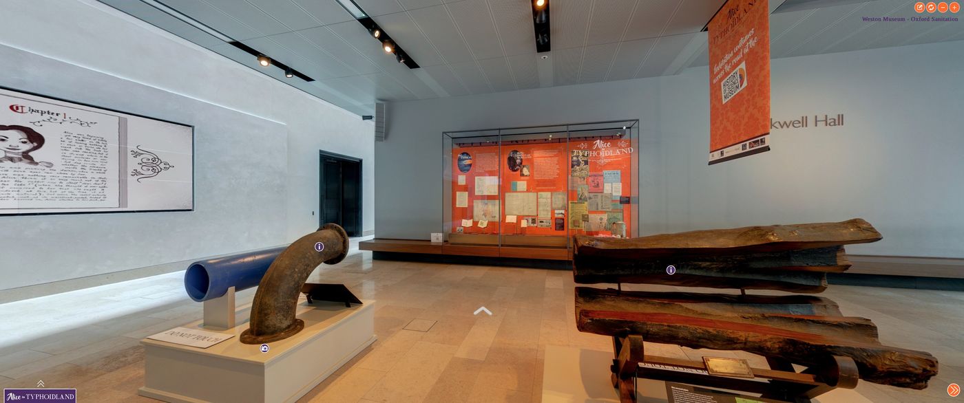 Alice in Typhoidland Interactive Museum Virtual Tour